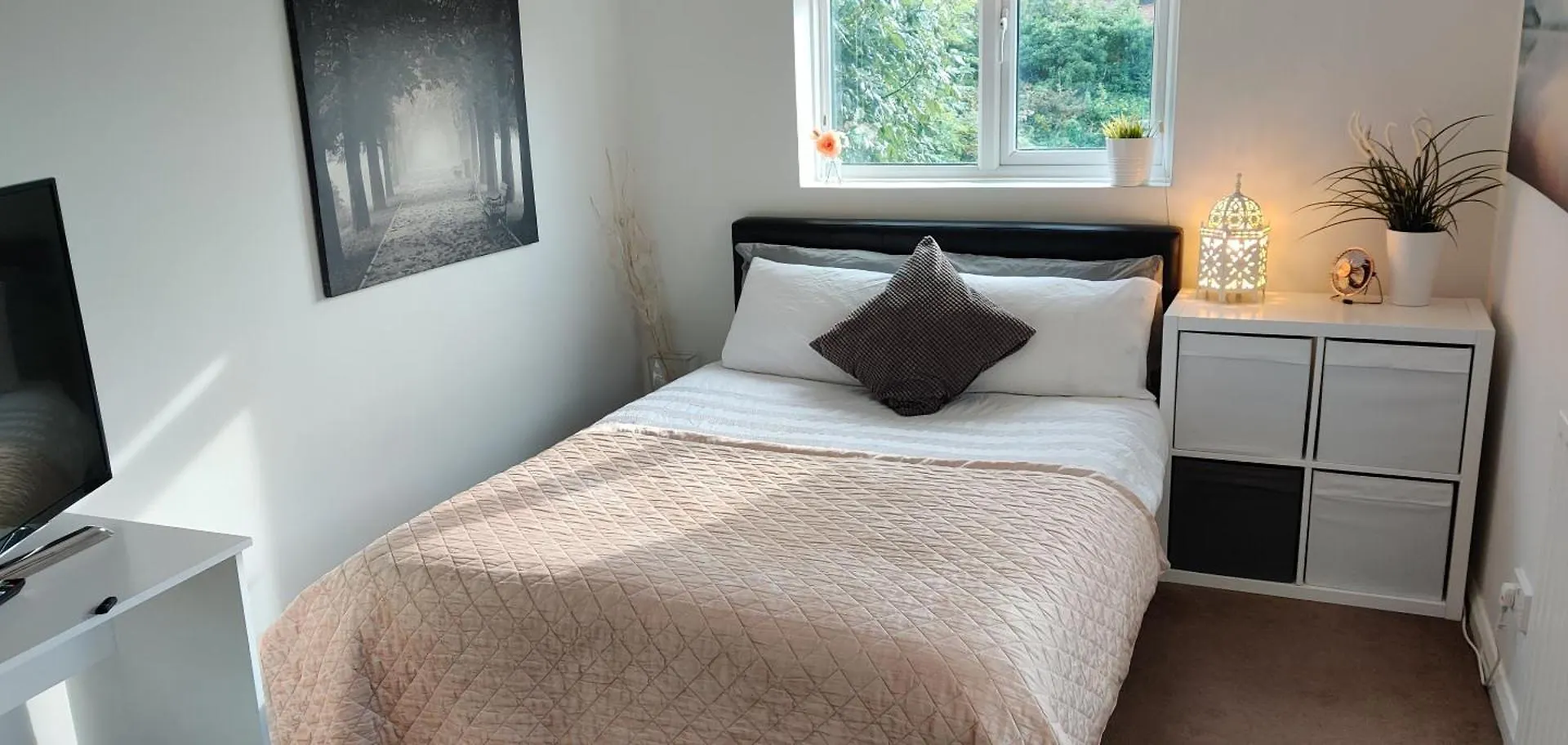 Cosy Bee Formerly Freemantle Solent Lodge Southampton